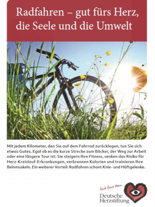 Ratgeber-Radfahren-warenkorb