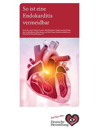 Endokarditisflyer