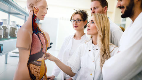 Gruppe von jungen Medizin-Studenten 