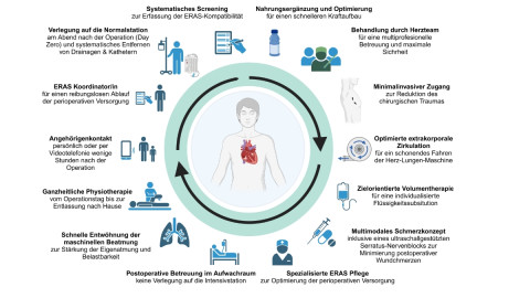Die ERMICS-Komponenten im Überblick